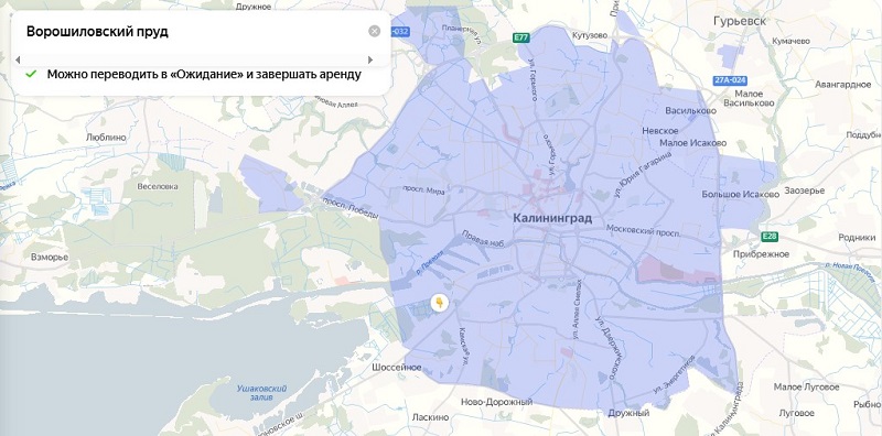 Зона покрытия Яндекс Драйв в Калининграде